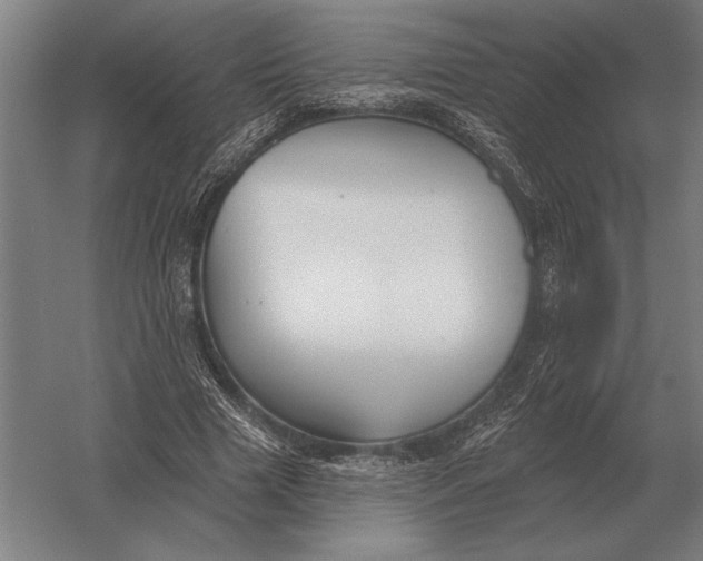 X0000054360633200508191820