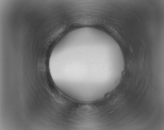 X0000054360635200508191820