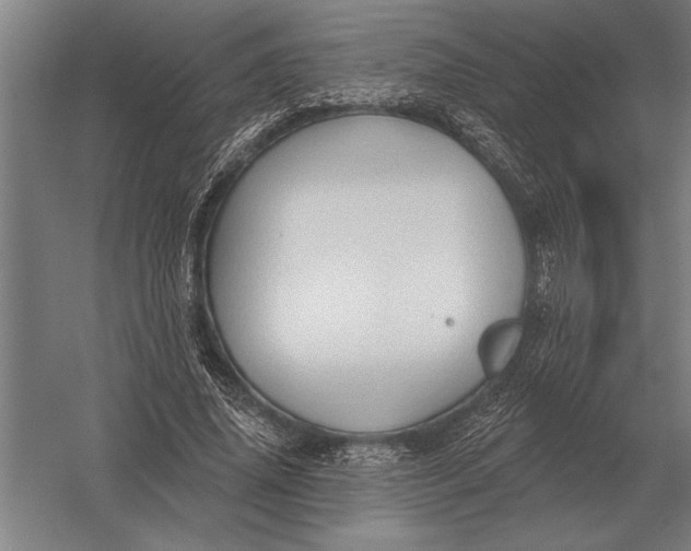 X0000054360636200508191820