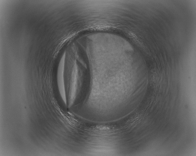 X0000054360640200508191820