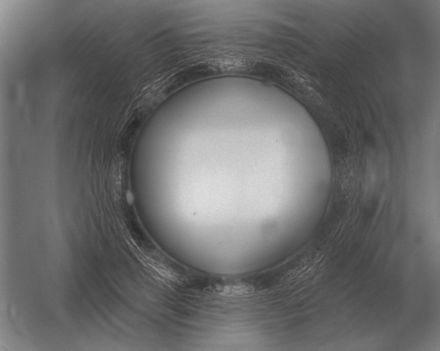 X0000054360645200508191821