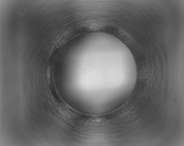 X0000054360646200508191821
