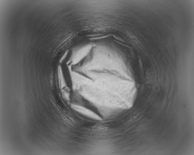 X0000054360648200508191821
