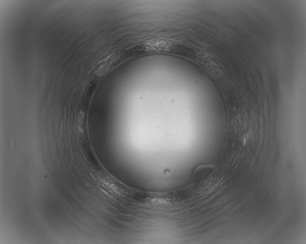 X0000054360649200508191821