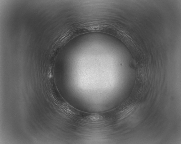 X0000054360652200508191821