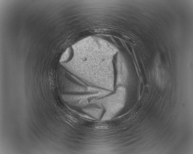 X0000054360653200508191821