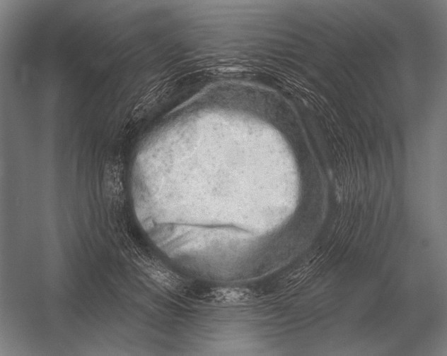 X0000054360654200508191821