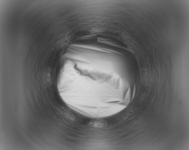 X0000054360655200508191821
