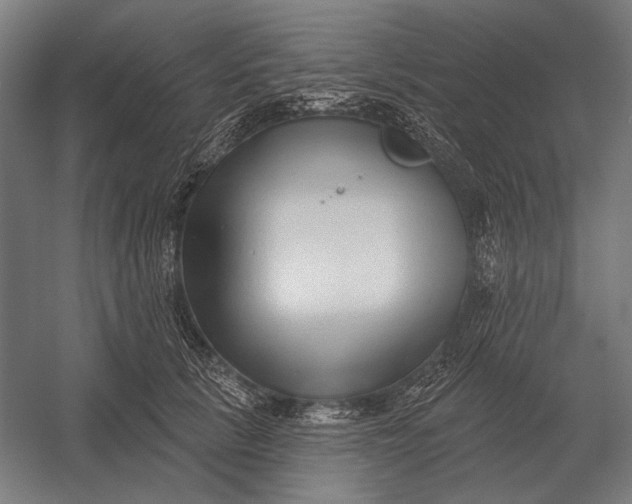 X0000054360657200508191821