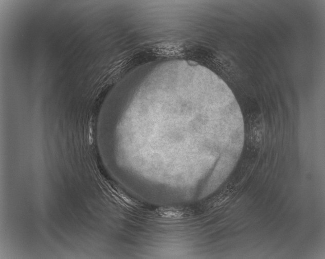 X0000054360658200508191821