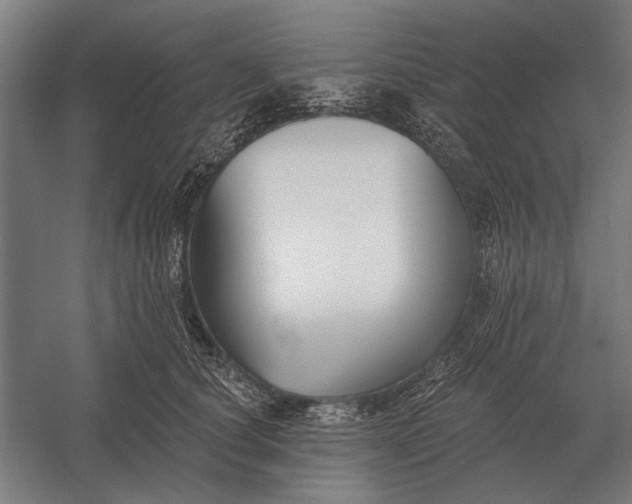 X0000054360660200508191821
