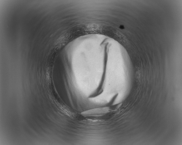 X0000054360662200508191821