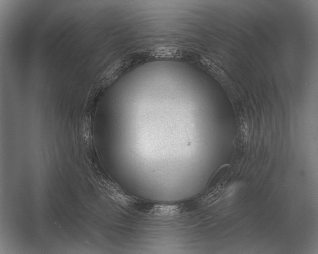 X0000054360665200508191821
