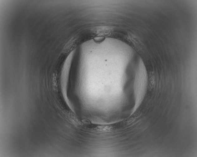 X0000054360667200508191821