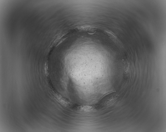 X0000054360669200508191821