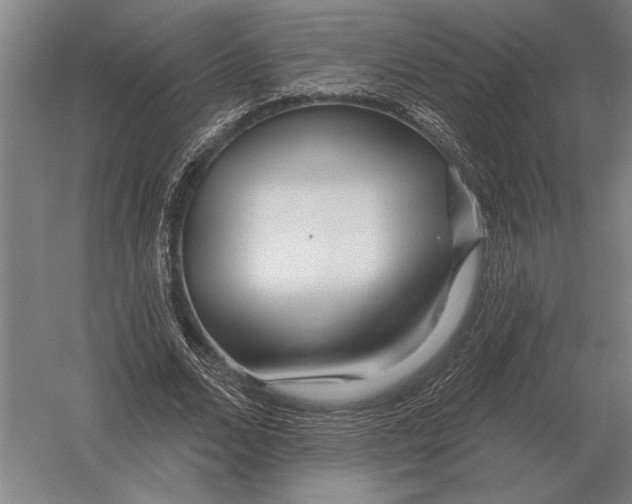 X0000054360680200508191820