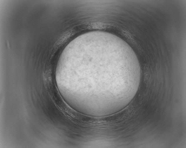 X0000054360683200508191820