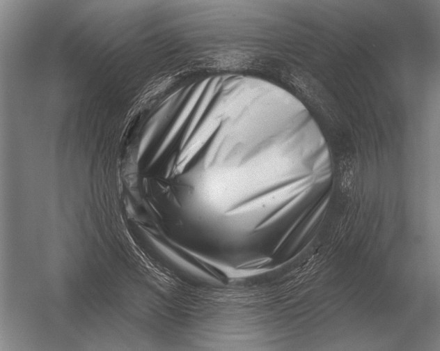 X0000054360685200508191820