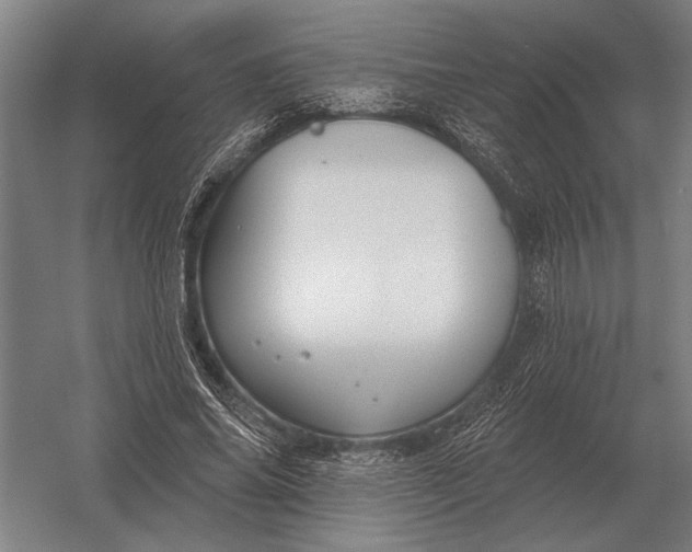 X0000054360686200508191820