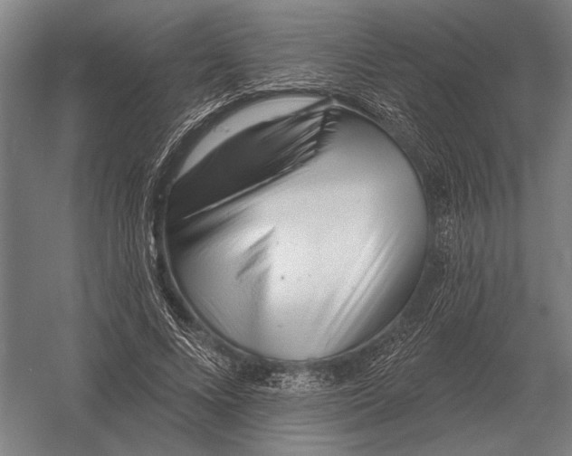 X0000054360688200508191820