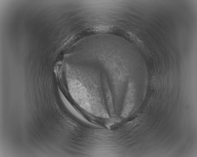 X0000054360689200508191820