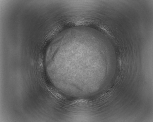 X0000054360691200508191820