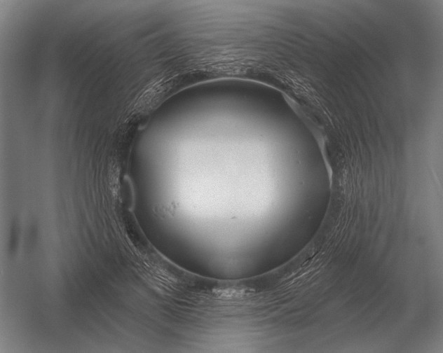 X0000054360693200508191820