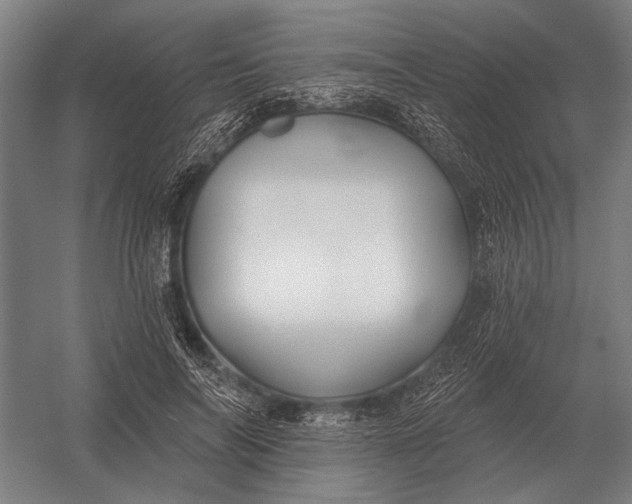 X0000054360694200508191820