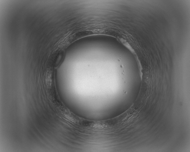 X0000054360697200508191820