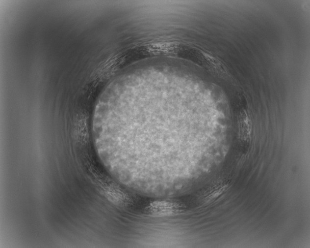 X0000054360699200508191820