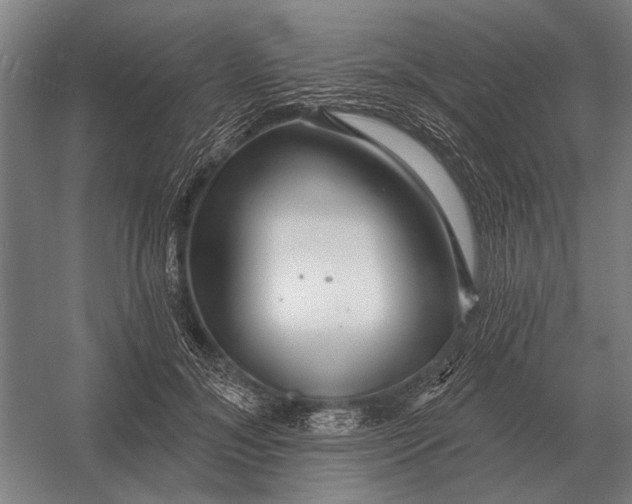 X0000054360700200508191820