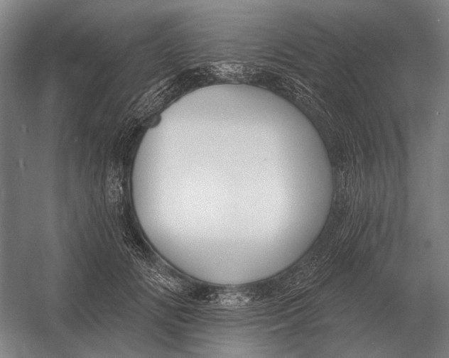 X0000054360702200508191820