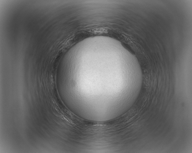 X0000054360704200508191820