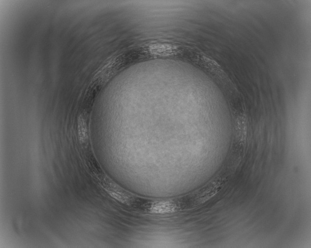 X0000054360705200508191820