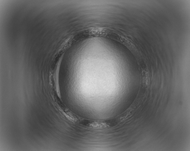 X0000054360712200508191819