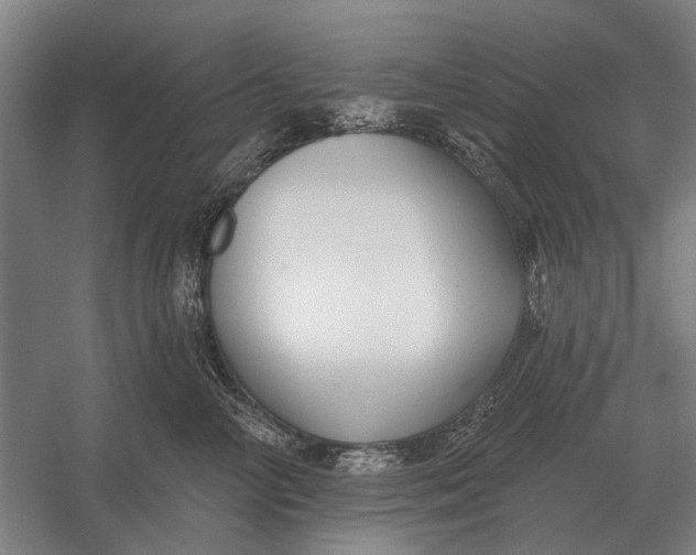 X0000054360714200508191819