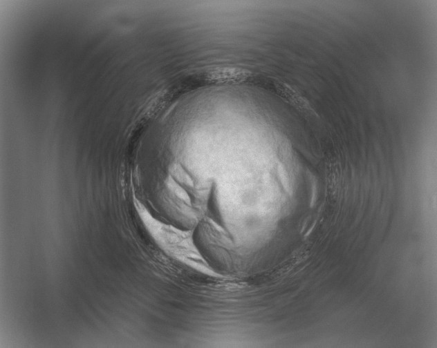 X0000054360716200508191819