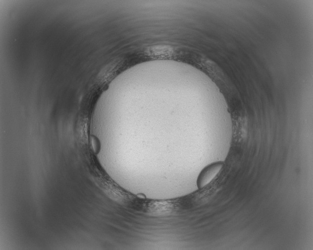 X0000054360717200508191819