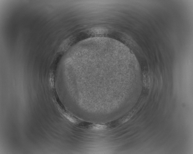 X0000054360718200508191819