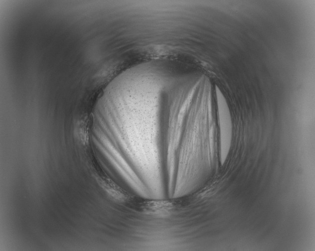 X0000054360719200508191819
