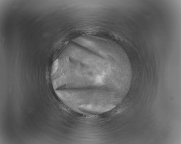 X0000054360720200508191819