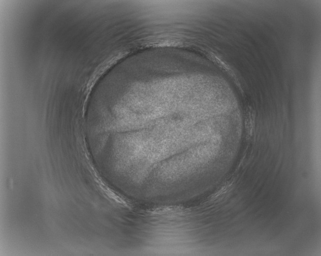 X0000054360721200508191819