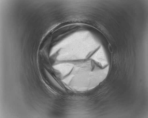 X0000054360722200508191819