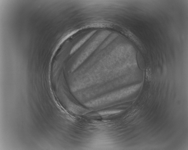 X0000054360724200508191819