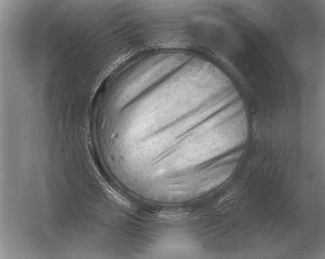 X0000054360725200508191819