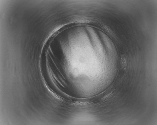 X0000054360726200508191819