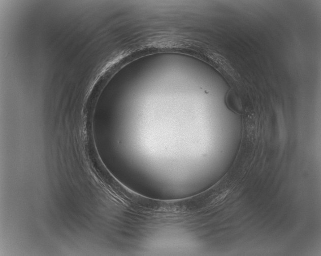 X0000054360727200508191819