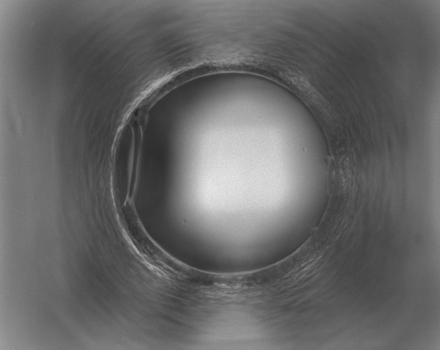 X0000054360728200508191819