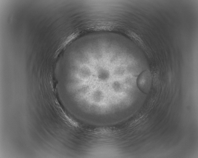 X0000054360729200508191819