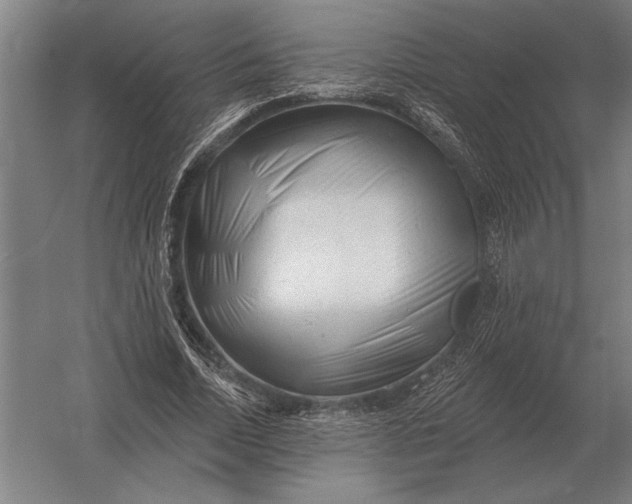 X0000054360730200508191819